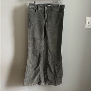 Alice + Olivia Pants Cotton Velvet Feel Slight Flare Boot Cut Size 4 Taupe/Green